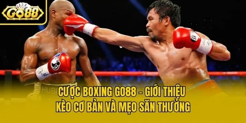 Cược Boxing Go88 - Giới Thiệu Kèo Cơ Bản Và Mẹo Săn Thưởng