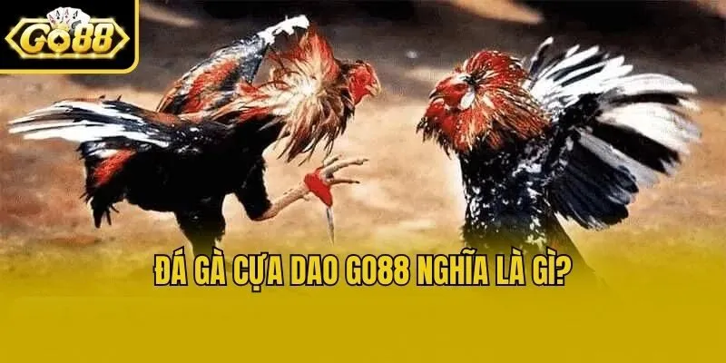 Đá gà cựa dao Go88 nghĩa là gì?