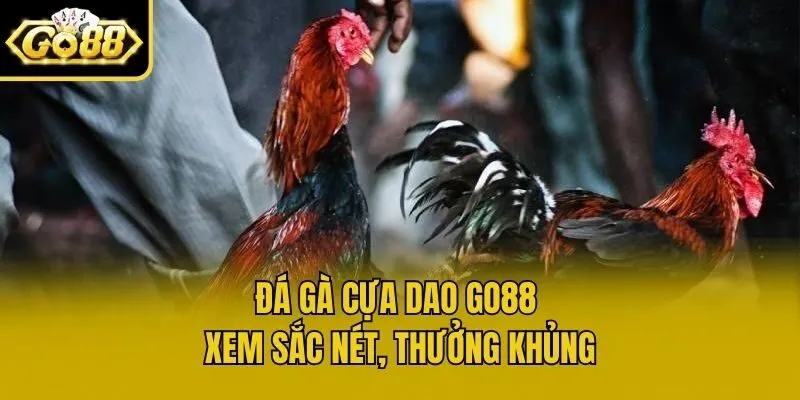 Đá Gà Cựa Dao Go88 - Xem Sắc Nét, Thưởng Khủng