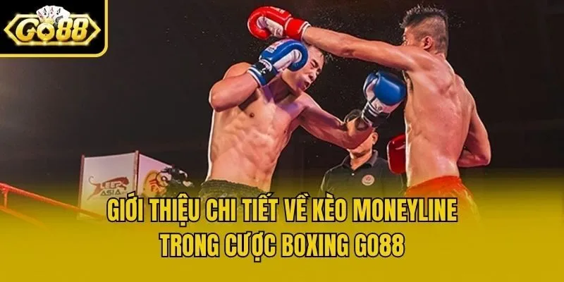 Giới thiệu chi tiết về kèo Moneyline trong cược boxing Go88