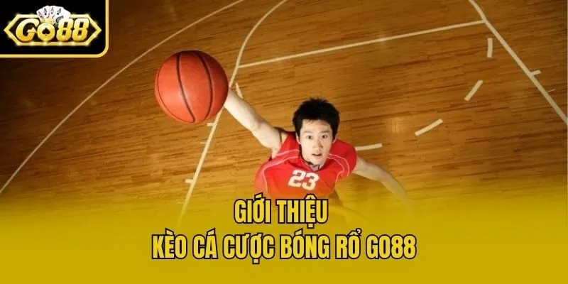 Giới thiệu kèo cá cược bóng rổ Go88