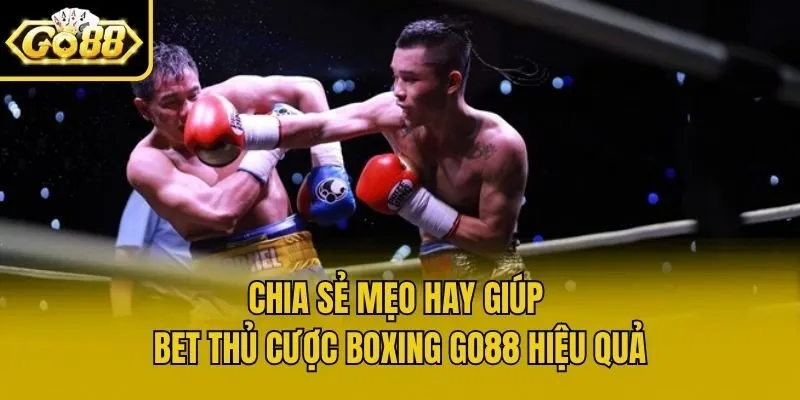 Chia sẻ mẹo hay giúp bet thủ cược boxing Go88 hiệu quả