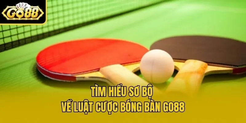 Tìm hiểu sơ bộ về luật cược bóng bàn Go88