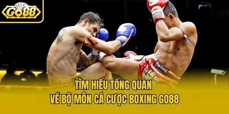 Tìm hiểu tổng quan về bộ môn cá cược boxing Go88