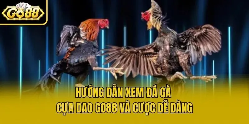 Hướng dẫn xem đá gà cựa dao Go88 và cược dễ dàng